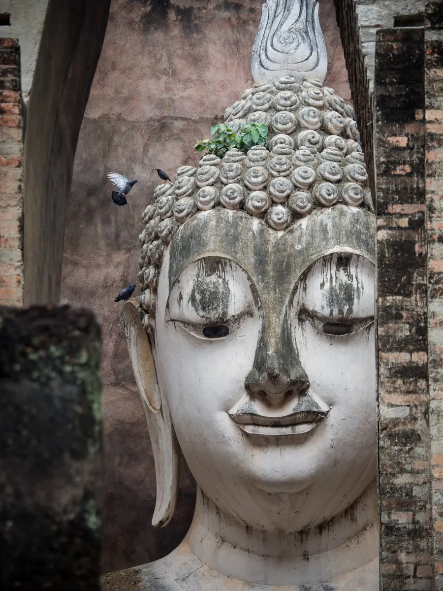 A large stone Buddha head framed by brick ruins, a bird flying past