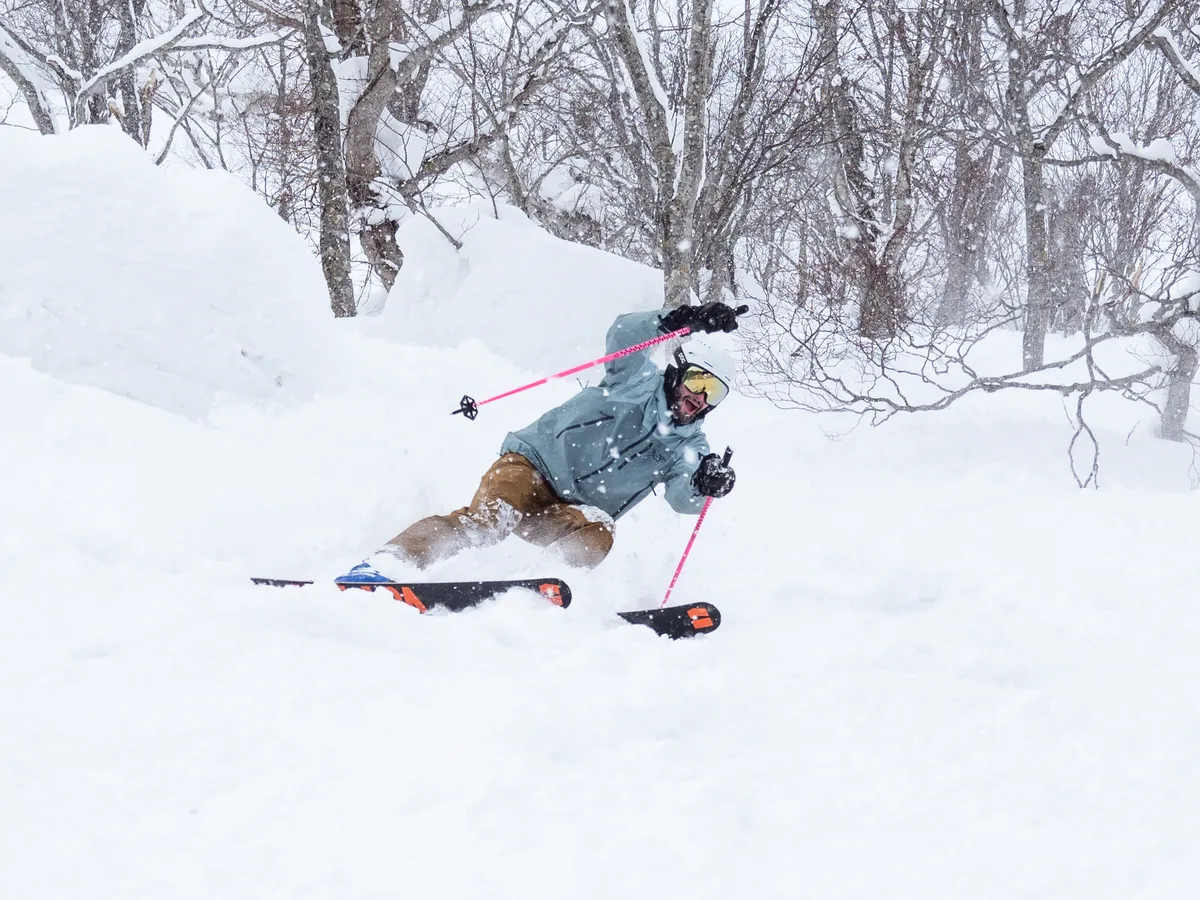 A skier carving through deep powder in a snowy birch forest
